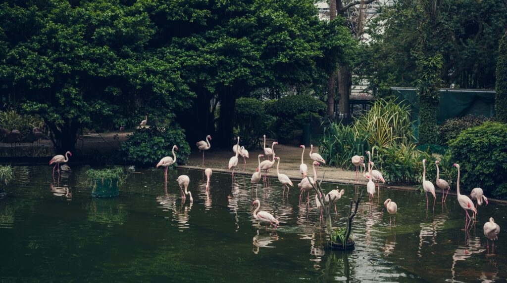 Hong Kong Park